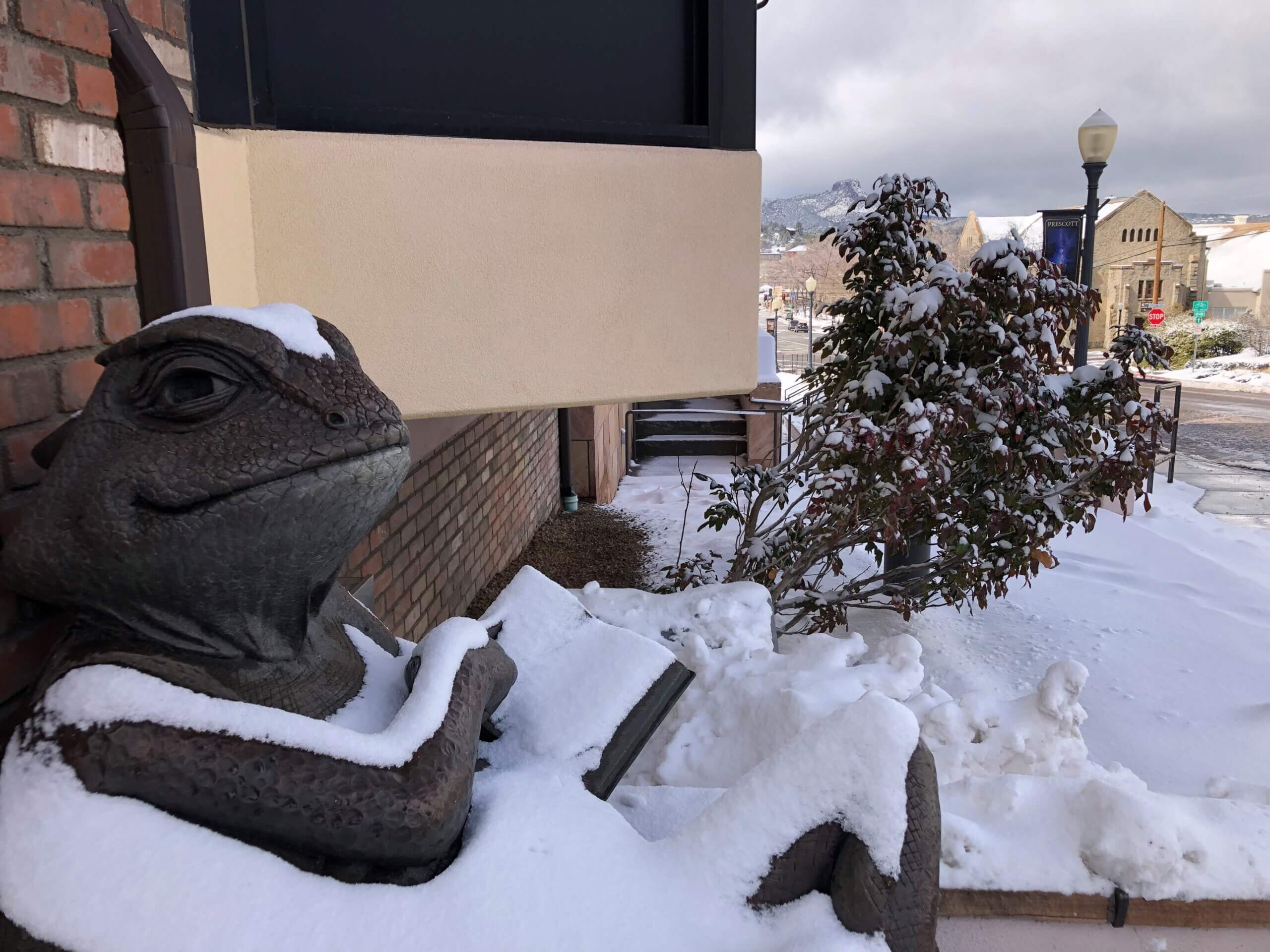 library lizard in snow2